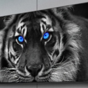 ���ȇ��L�ͮ��ڮ����ϻ��۾������R�d؛Դ�ػ�؛Դ���uͨ�羳