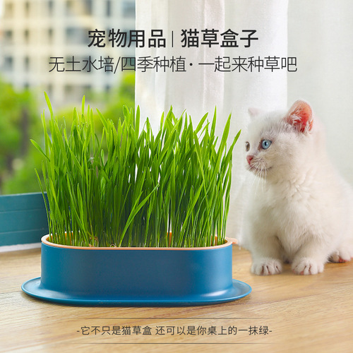 Cat Grass Planter General Planting Box Set Cat Grass Cat Snacks Wheat Seed Cultivation Hair Combing Cat Supplies