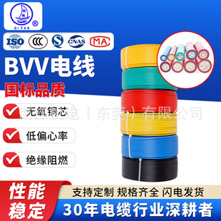 ZC-BVV10/16/25/35/50ƽ���p���o�׼��ù��̇����~о늾�����|