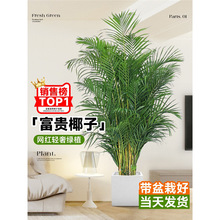 ���FҬ�Ӵ��;Gֲ�����҃ȿ͏d�k���Һ��Bֲ���辰�ļ��������ȩ