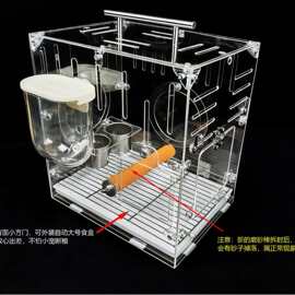 多功能便携展示笼 鹦鹉笼鸟用移动餐厅防撒防溅防漏粮外挂对接笼