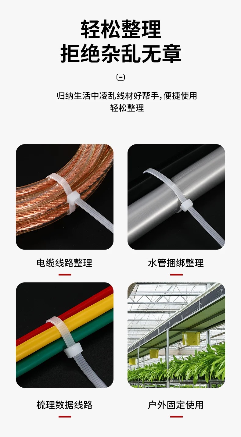 微信图片_20250103172045