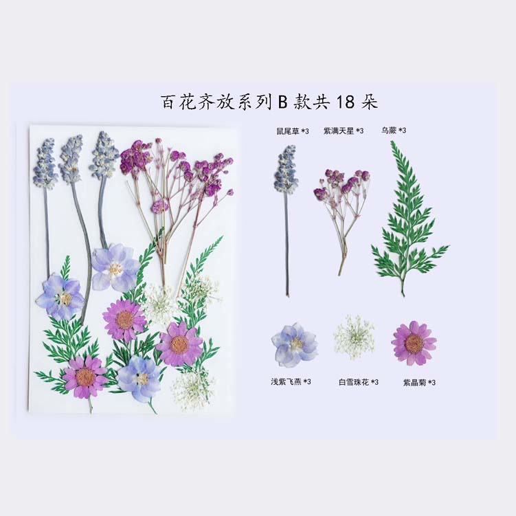 Paquete de material en relieve jardín de infantes en relieve DIY marcador epoxi flor seca caja del teléfono en relieve planta muestra