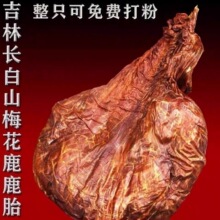 �|���خa÷��¹��¹̥�����p�¹�l̥�P�ɬF�����¹��ֱ�����l