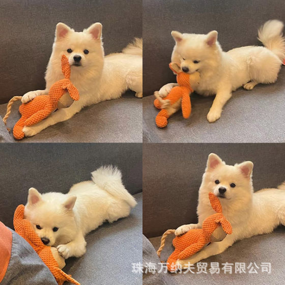Cross-border pet supplies dog sound toys bite-resistant molar pet alone relieving stuffy training pet doll wholesale