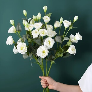 ��۹����滨���W��������廨�͏d�ҕ���[����ˇ�b������滨