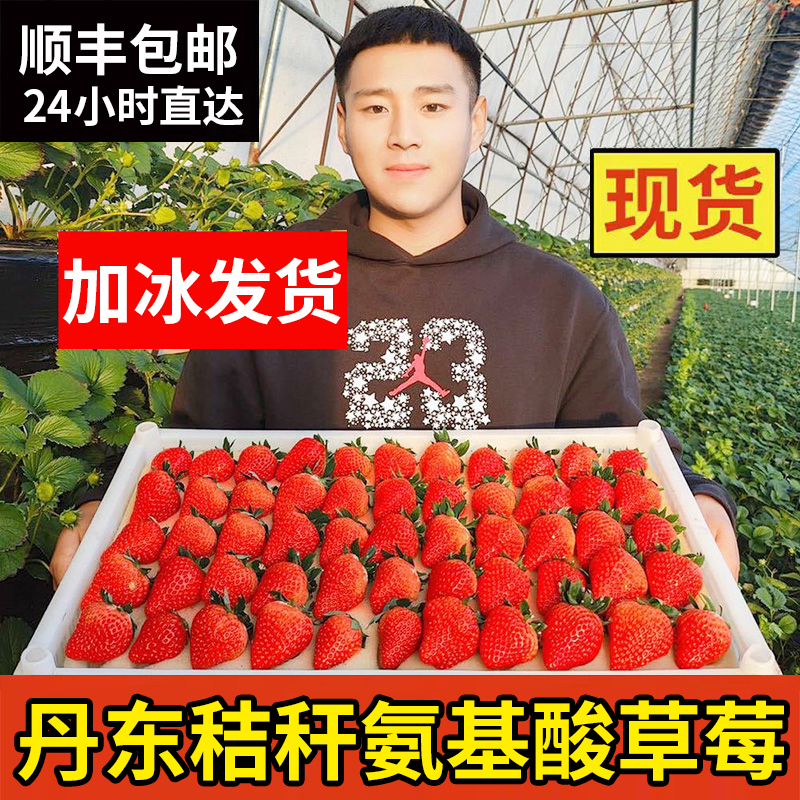Dandong 99 Big Red Strawberry Gift Box for Pregnant Women, Fresh Seasonal Fruit, Whole Box of Strawberries