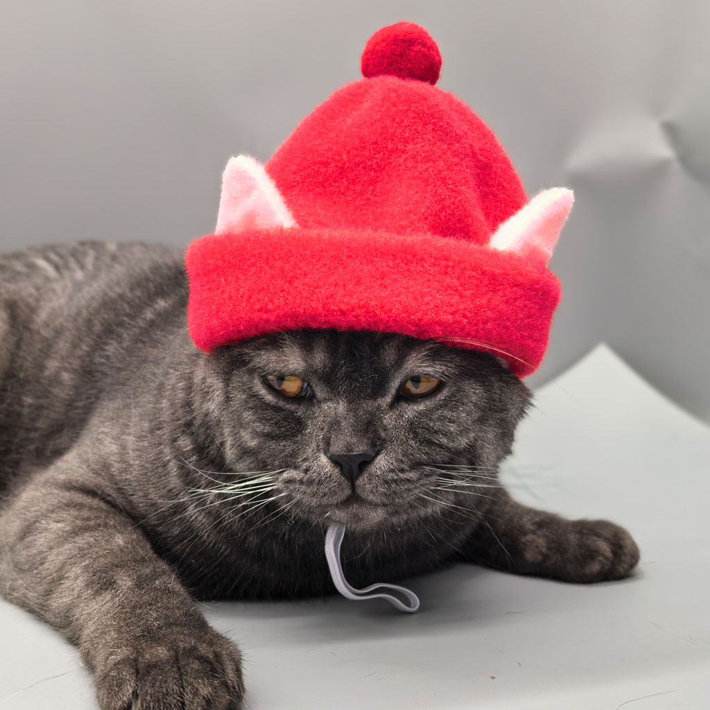 Gorro de pelagem sintética de coelho para gatos e cães_voghion.com