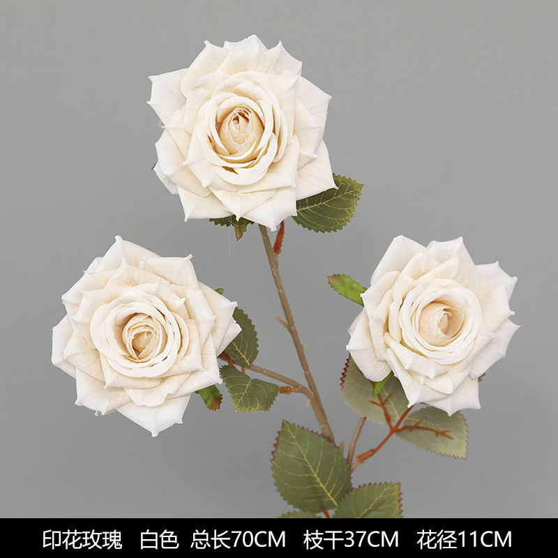 Printing rose white