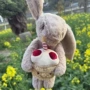 新款生日可爱毛绒玩偶
