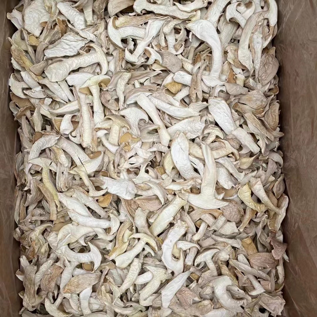 a676447adf18bb744b3084d3356e49