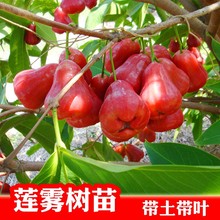 �ڽ��� ���ǰű�ɏ�F�޽��� ���~�t ˮ�����Ե��Թ�����ͥԺ�Nֲ