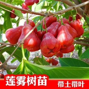 �ڽ��� ���ǰű�ɏ�F�޽��� ���~�t ˮ�����Ե��Թ�����ͥԺ�Nֲ