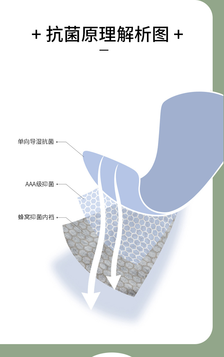 新款纯棉无痕内裤 知性女士大码中腰提臀全棉抑菌底裆女式三角裤详情34