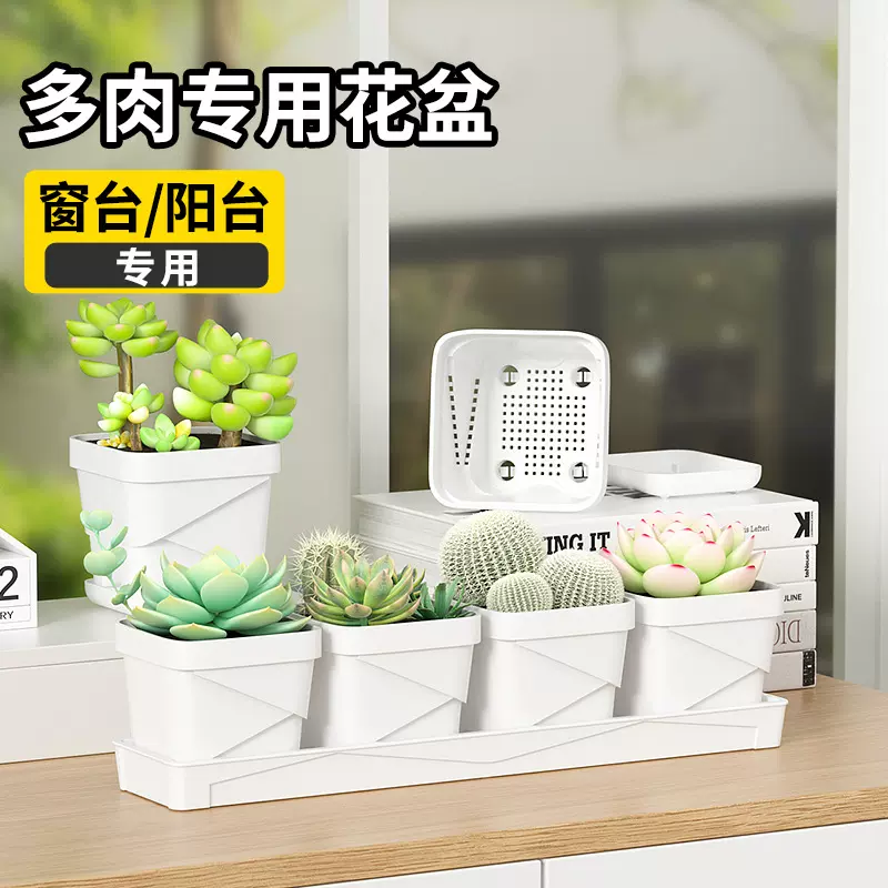 塑料多肉专用小方盆加厚透气防烂根长托植物专用培育盆方形小花盆