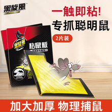 �����Lճ��及���zճ����������҃�������ǼӴ�Ӻ�粶������