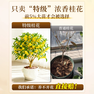 �ļ������Խ������;Gֲ�҃Ȼ��ܹ𻨘����Ϙ��ֲ̨���B��