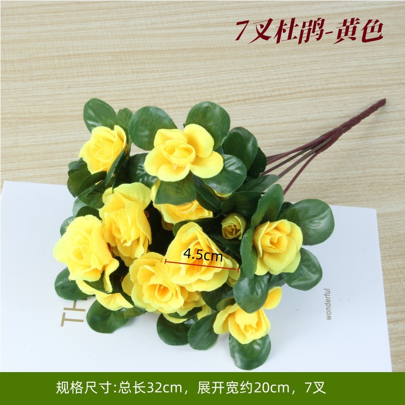 Apricot color Rhododendron yellow