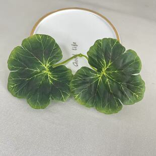 ���溣���~diy������P���l���쾰�@�־G�������������-��ɫ�M