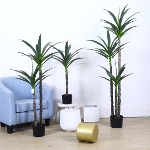 �Wʽ�L����ֲ��͏d���ͷ��������҃��쾰���W����Gֲ�����ɲ�