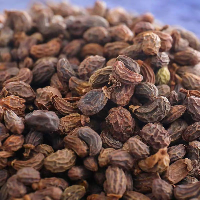 Nuzhenzi Rcong Rong Herbal Blend Dried Ligustrum Fruit and Cistanche Stem Traditional TCM Decoction Herb Bulk Weight quality and texture