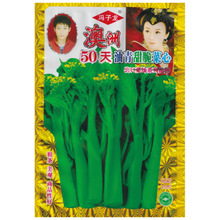 澳洲50天油青甜脆菜心  冯子龙种苗公司直售批零基地种植蔬菜种子