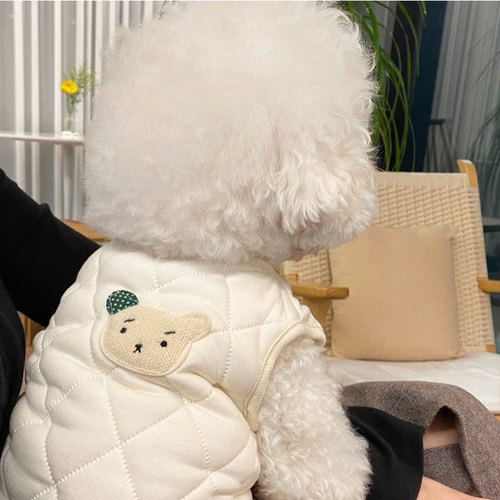 Autumn and winter thin puppy vest Teddy VIP Bichon Pomeranian cat small dog clothes winter pet cotton coat