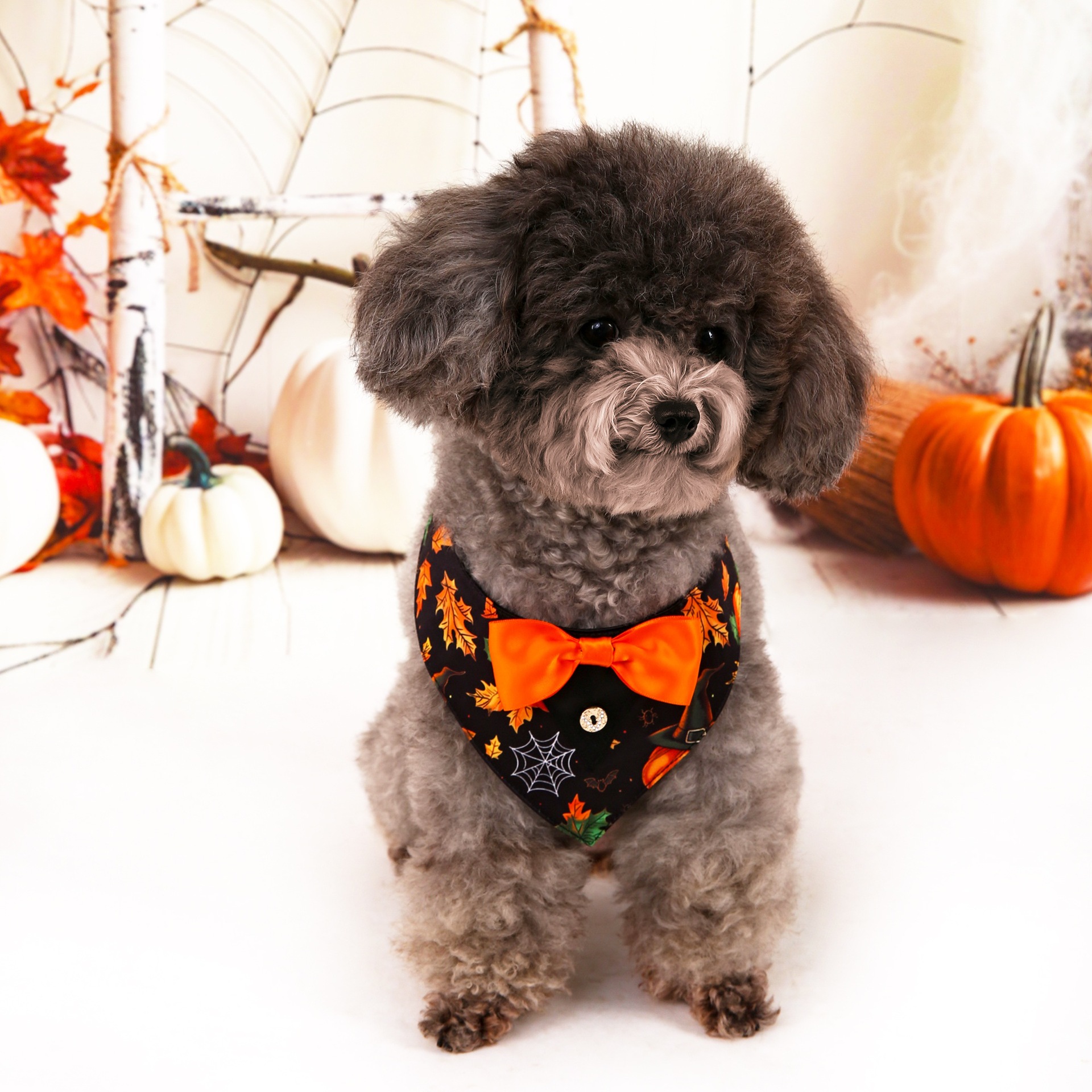 Halloween nuevo traje de mascotas toallas triangulares toallas de saliva collar de mascotas fábrica de ropa de perro en stock