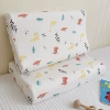 Little Dinosaur Pillow Set alone