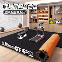 专业楼层隔音减震健身房舞蹈室加厚吸音地毯家用健身运动隔音地垫