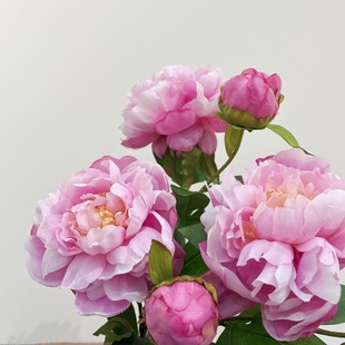 �����P��ĵ������ș���F���ٻ��Ҿ��Ʒ����������õ��ܛ�b��c