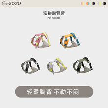 ���⹷���ر��������ͷ����_�󹷱���ʽ����