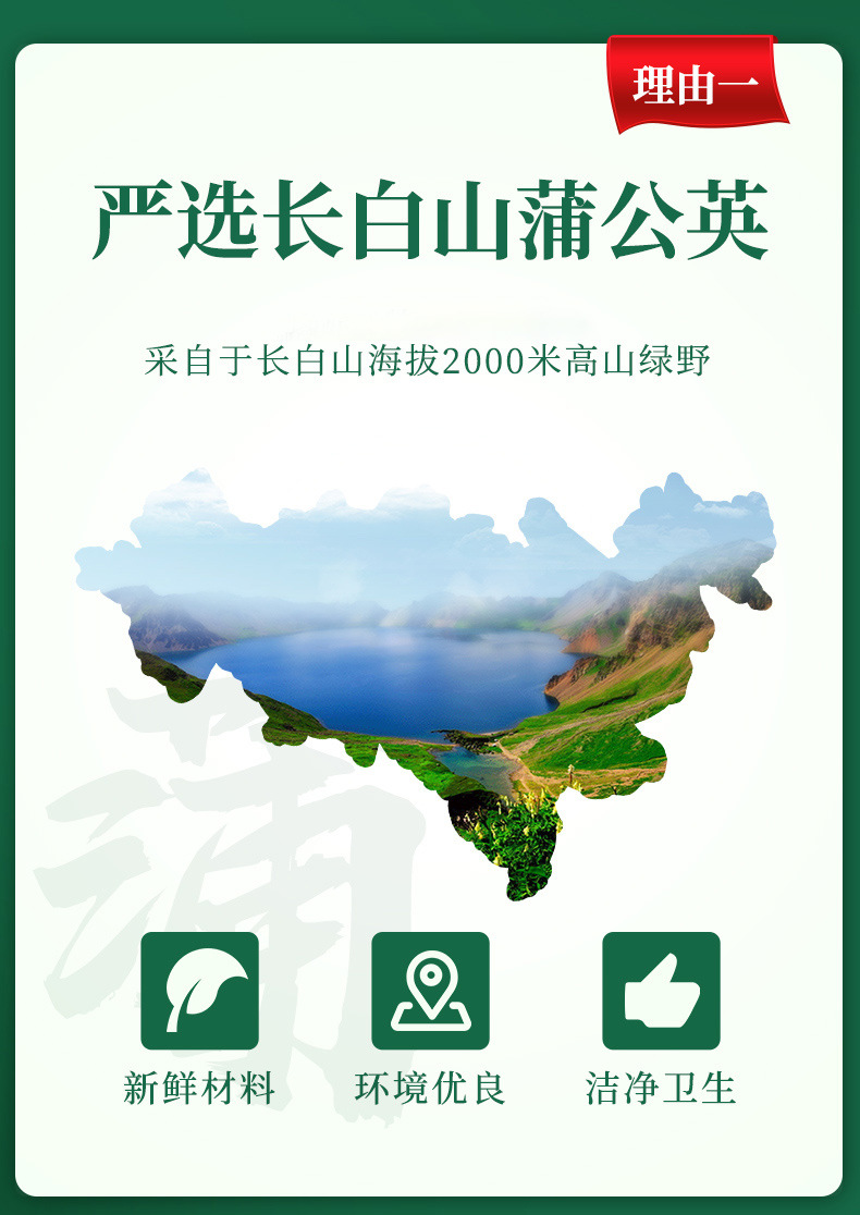 Dandelion Leaf Tea Pu Gong Ying 500g Roasted Loose Herbal Tea from Sichuan key features