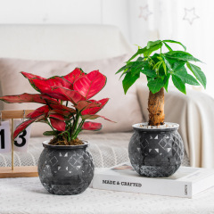 ガラスの水をまねて緑の植木鉢の透明なプラスチックの樹脂を植えます。