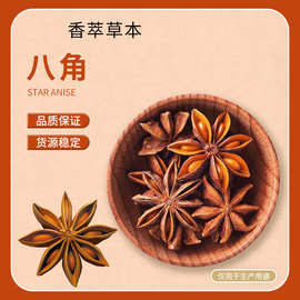 跨境广西大红八角香料有机八角大料大茴香中药八角批发