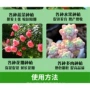 植物盆栽通用型发财树花肥