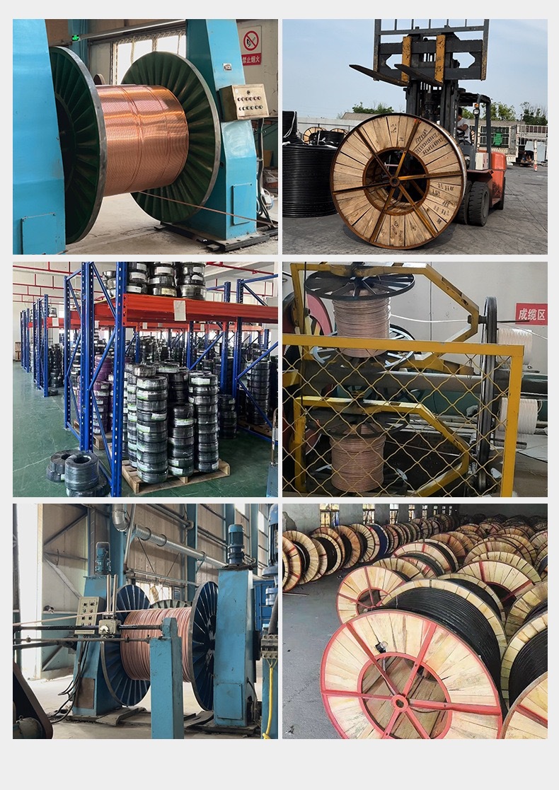 微信图片_20250115231047