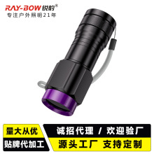 紫光灯鉴定专用紫外线手电筒365nm鉴别验钞笔荧光uv灯便携小手电