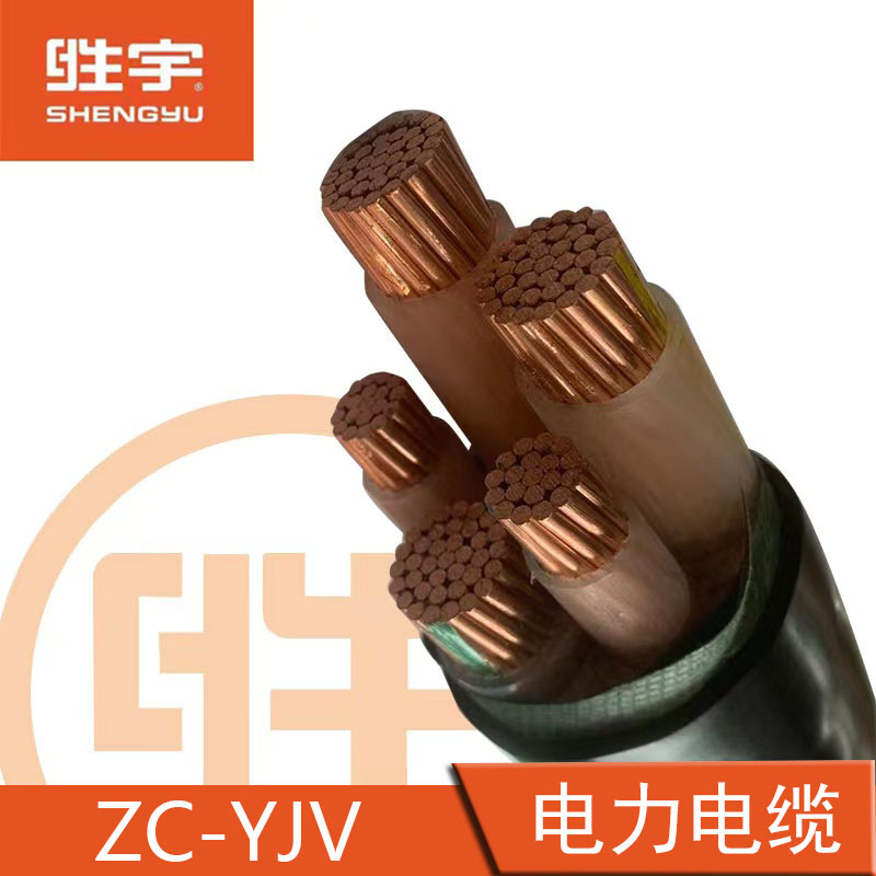 胜宇ZR-YJV3+2铜芯绝缘阻燃电力电缆工程项目国标电线电缆批发