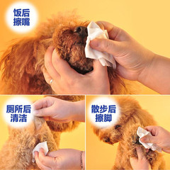 Petsoft Pet-Specific Wet Wipes, Specially Designed for Cats and Dogs to Eliminate Odors, Best-Selling Dog Bottom Cleaning Wet Wipes, 100 Sheets