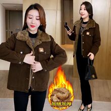 2026�����¿������Ů�r���@�ݰٴ���|С���ӊA�˼ӽq�Ӻ����³�