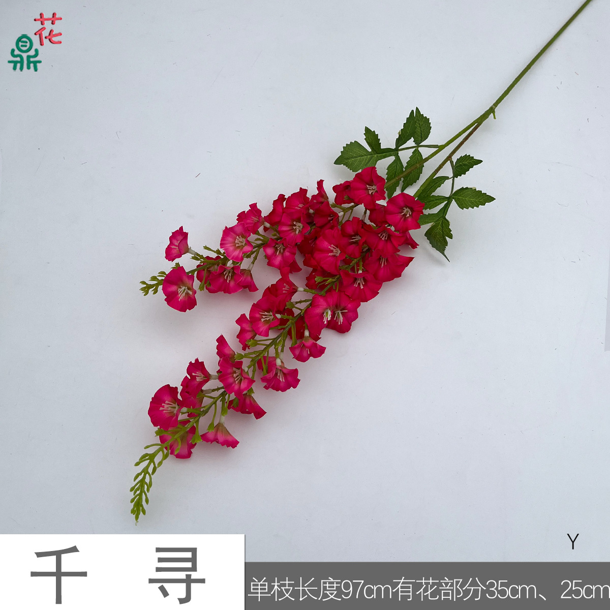 치히로 Y 로즈 레드