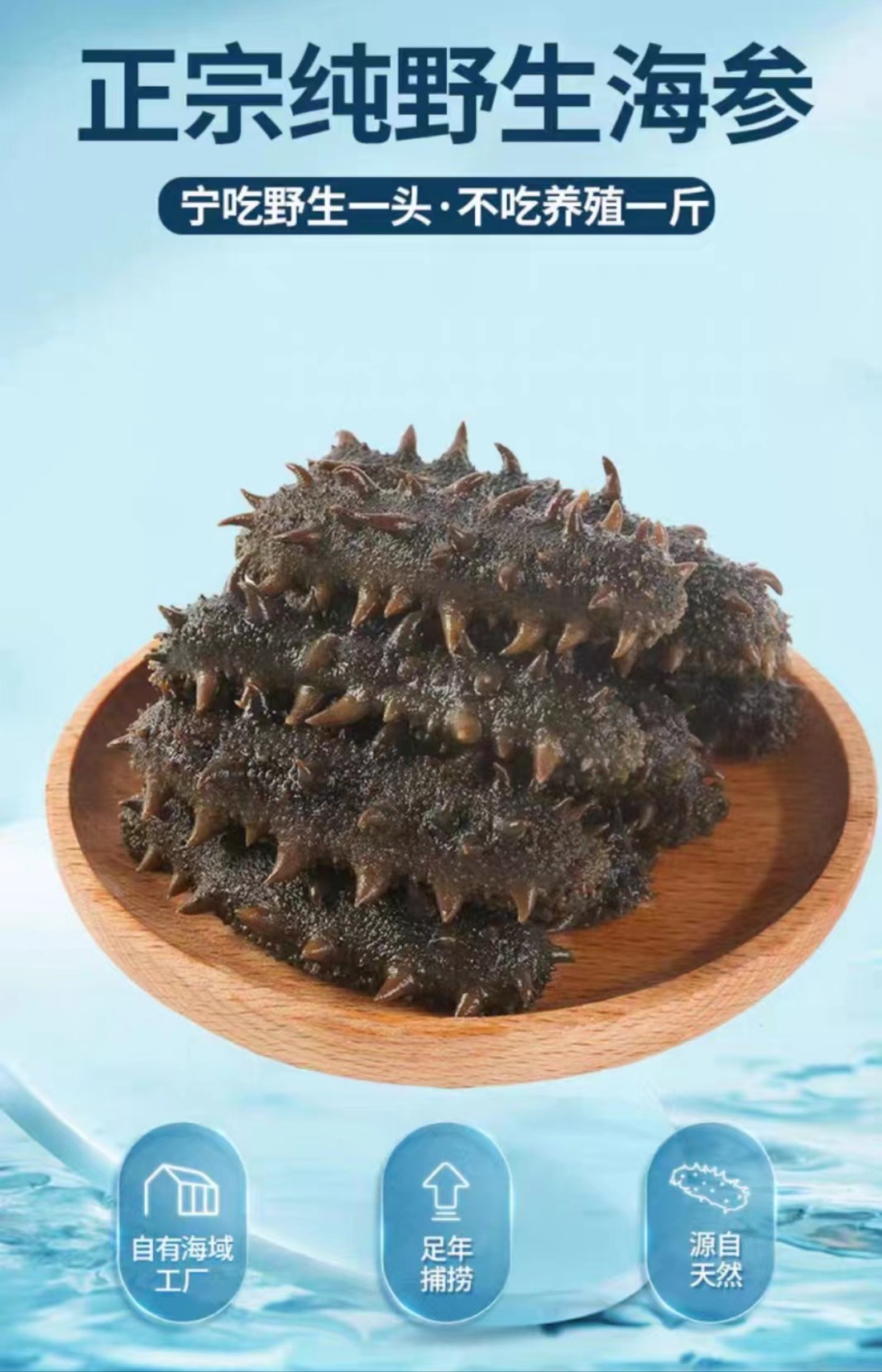 深海刺参非干参即食海参可礼盒大连鲜食即食海参辽参500g批发海参-阿里巴巴