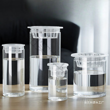 ˮ����������͸���A���λ����߲˶��N�Ӷ�����֦�t����ֲ�@�Nֲƿ