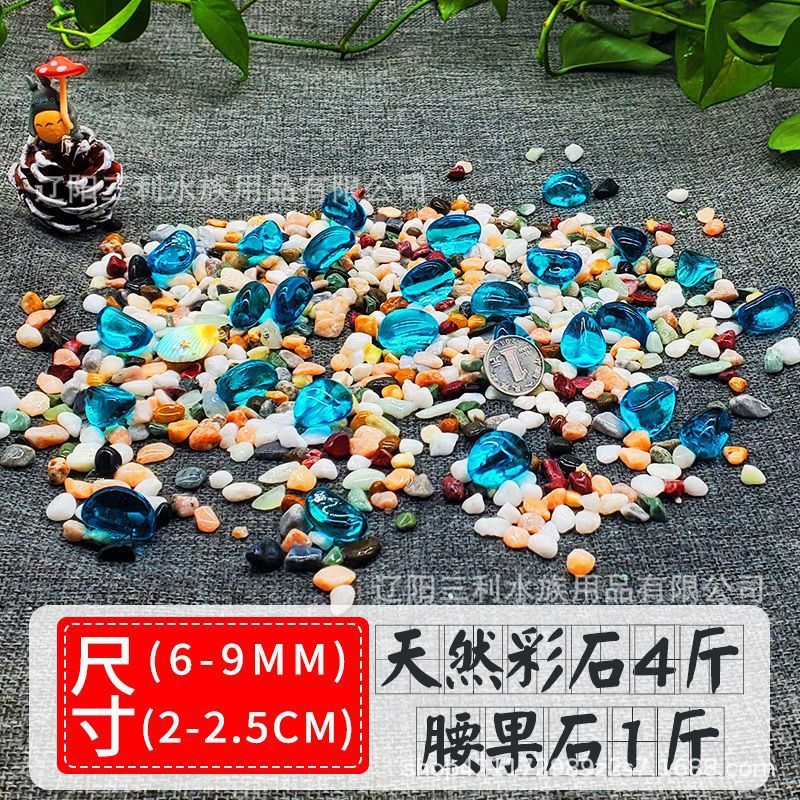 2kg 천연 컬러 스톤 + 0.5kg 캐슈 스톤