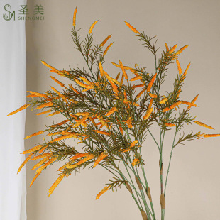 �������K�ݹ�β����β�ݱ��W�Ҿ��b�ֲ����ɫ�zӰ���߈�������