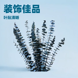 干花;永生花;鲜花花艺制品