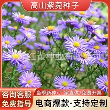 ��ɽ���ҷN�Ӻ��m���ļ��׷N����ͥԺ�̨���^�����������ͺ����N