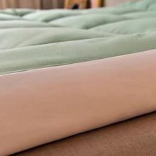 W1TR床垫软垫家用双人床加厚垫褥垫被床褥子折叠学生宿舍单人