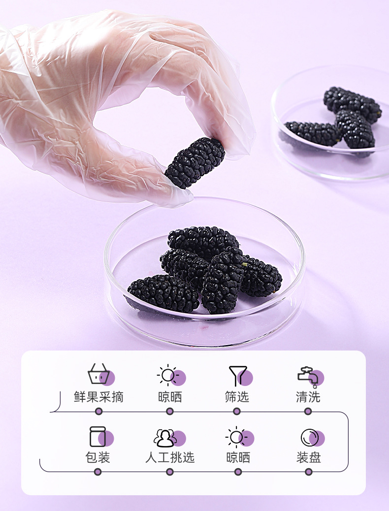 Dried Mulberry Fruit 250g Jar Hand Selected Large First Harvest Mulberries for Tea and Wine specifications